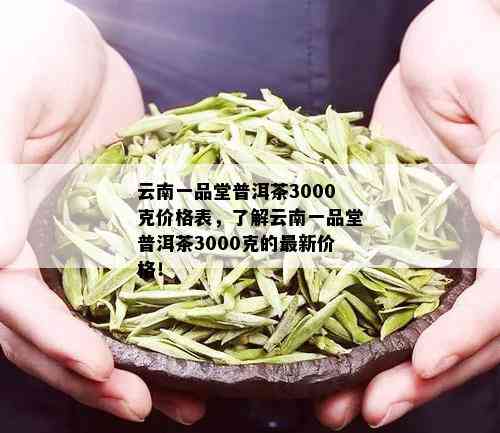 云南一品堂古树普洱茶价钱表及价格信息