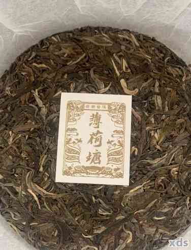 薄荷塘普洱茶：90年代烂田地区高品质茶叶的详细介绍与品鉴指南