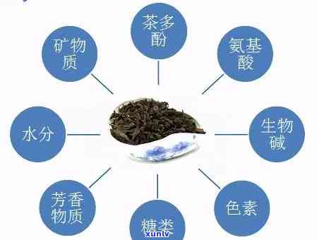 普洱茶生茶的香味成分及其口感分析：一次全面的探索