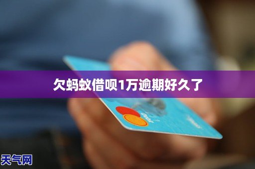 蚂蚁信用卡逾期后果全方位解析：信用记录、利息、罚息等影响详细探讨