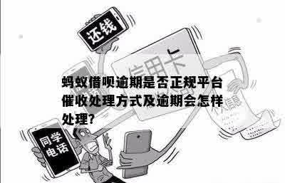 逾期还款策略：如何处理蚂蚁信用欠款？