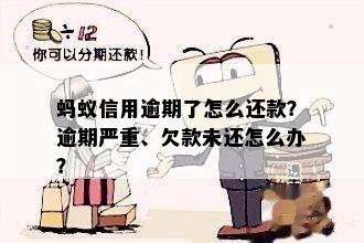 蚂蚁逾期后果严重：欠款已严重逾期怎么办？