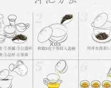 普洱茶冲泡的正确方法和茶叶用量指南