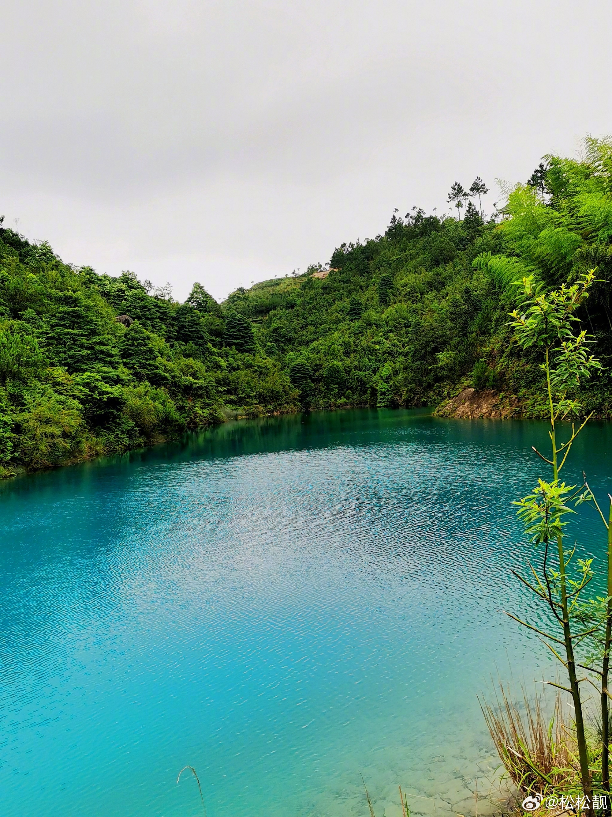 半山半水景色如画：探索青色油青的魅力与旅游攻略