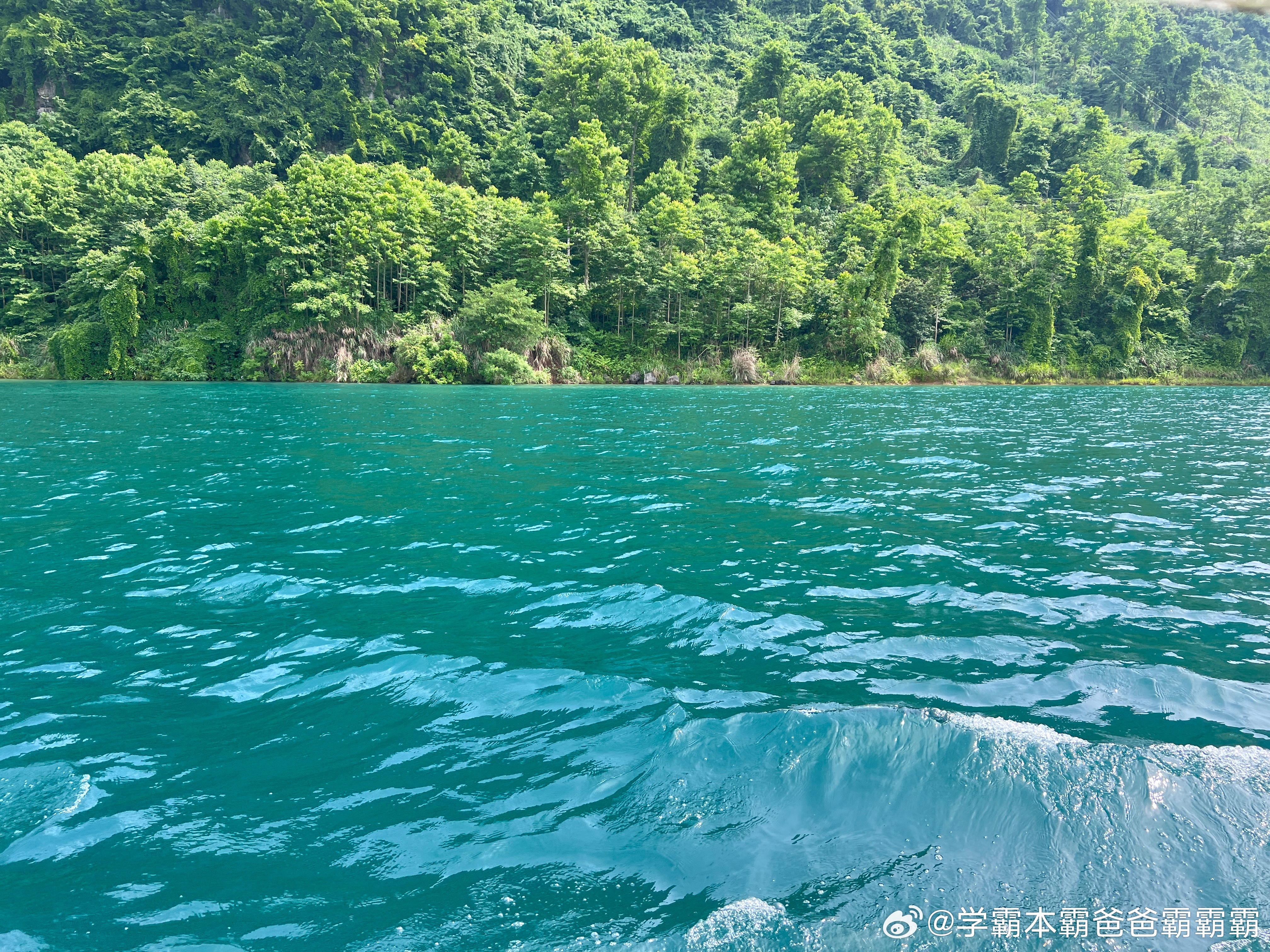 半山半水景色如画：探索青色油青的魅力与旅游攻略