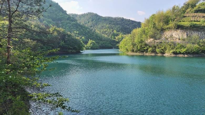 半山半水景色如画：探索青色油青的魅力与旅游攻略