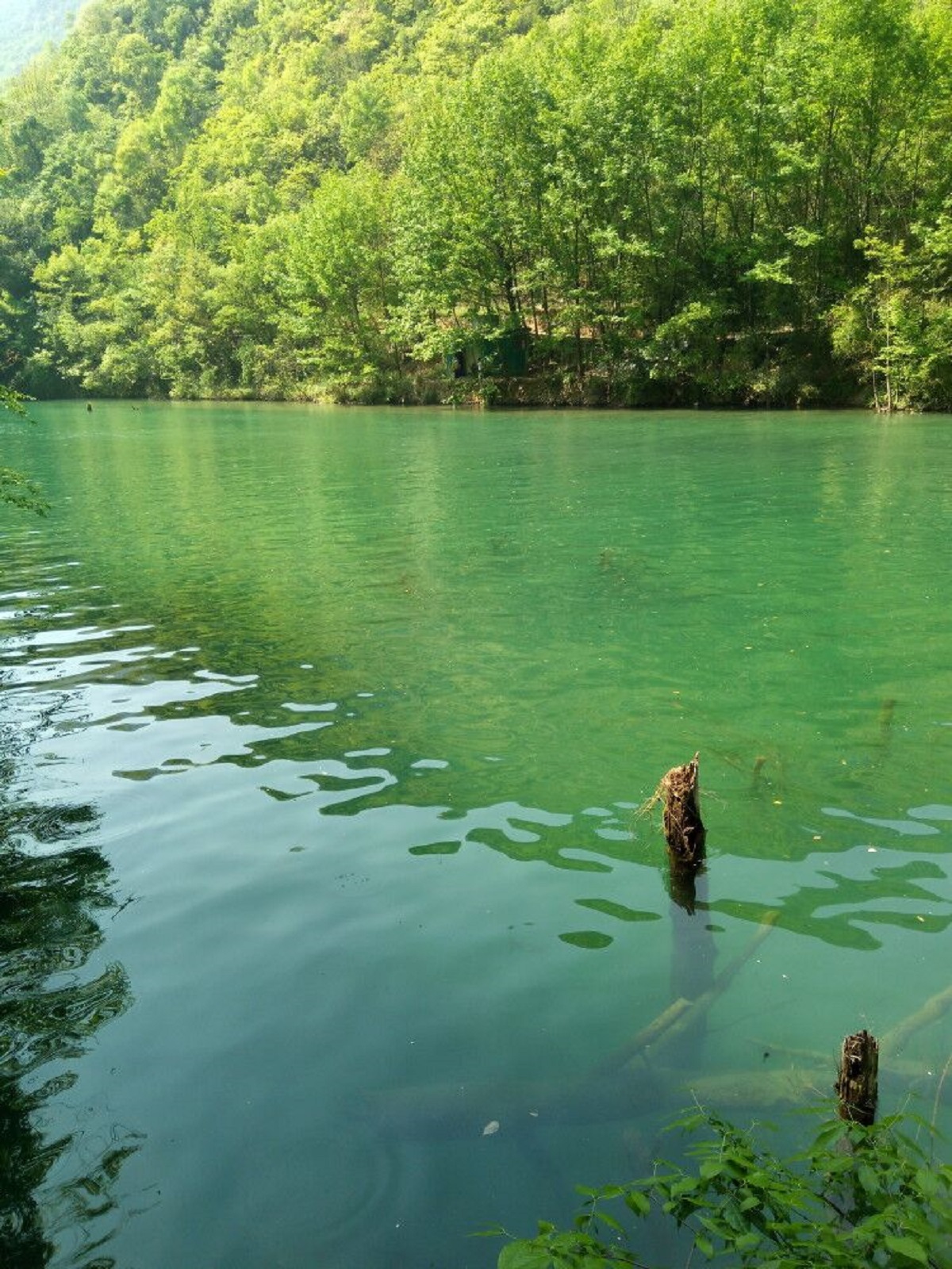 半山半水景色如画：探索青色油青的魅力与旅游攻略