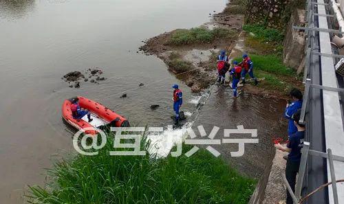 辽阳太子河发现浮尸：位置、时间、原因及相关调查进展的全面解析