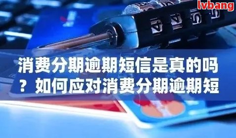 分期易借款逾期：解决方案和应对策略