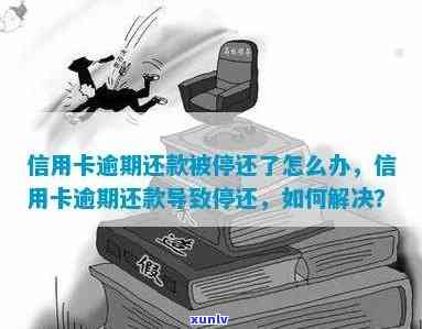 信用卡还款不小心还入停用卡了怎么办呢