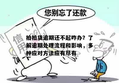 逾期多年数万贷款如何处理？解决方案一览