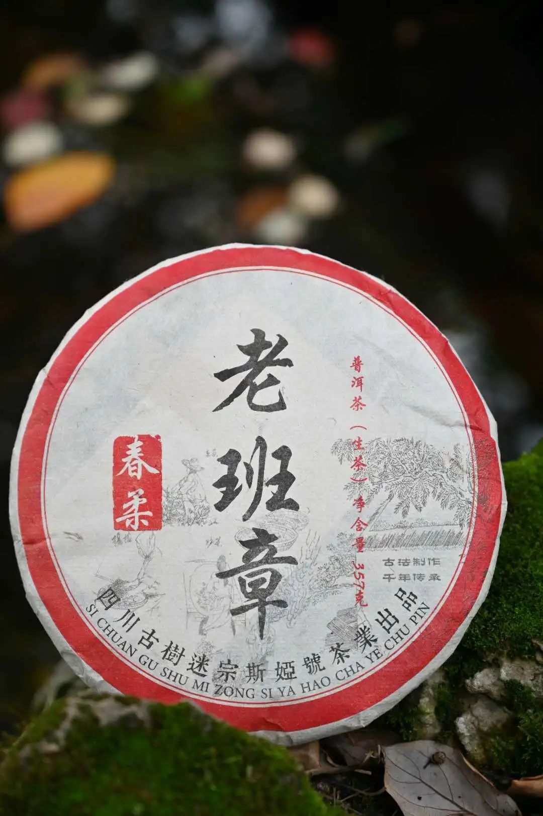 普洱茶的保值能力：十年后的前景如何？