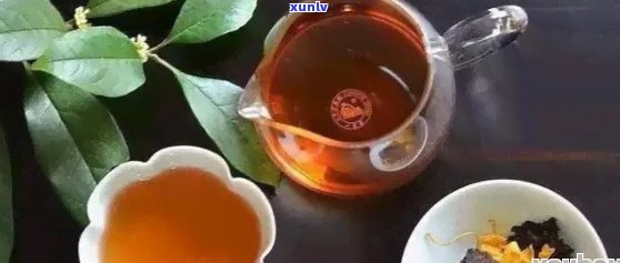 普洱茶的搭配指南：与哪些饮品一起泡效果更佳？