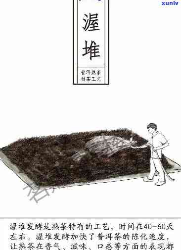 一代宗师普洱茶：历、制作工艺、品饮方法与鉴技巧的全方位解析