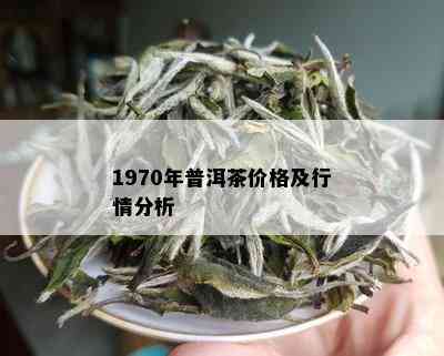 1970年代普洱茶的市场价格分析：当时的经济环境与茶价走势