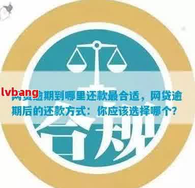 在多个网贷逾期的情况下，如何选择何时还款以及是否可以继续借款？