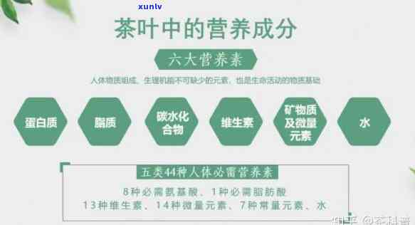 全面解析：普洱茶中是否含有雌激素及其对人体健的影响