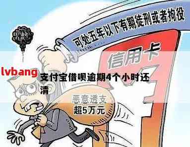 放心借逾期5天的影响：还款期限、信用记录及罚息详解