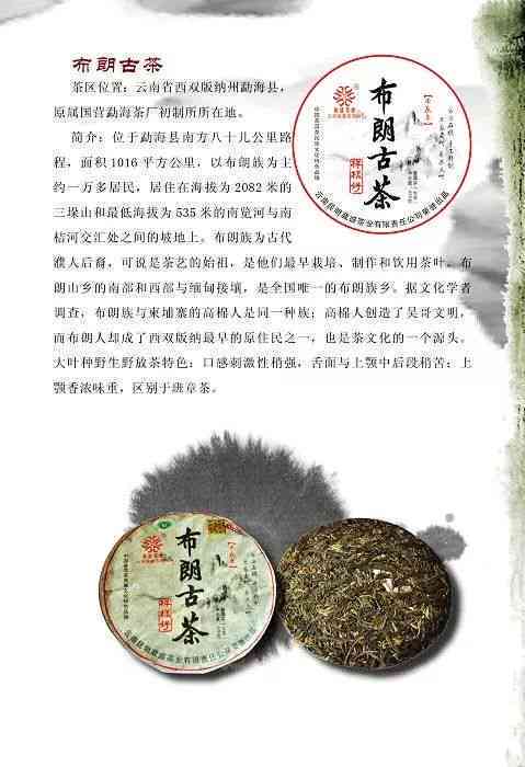 全面解析功夫普洱茶：从原料到制作工艺，品尝与品鉴的全方位指南