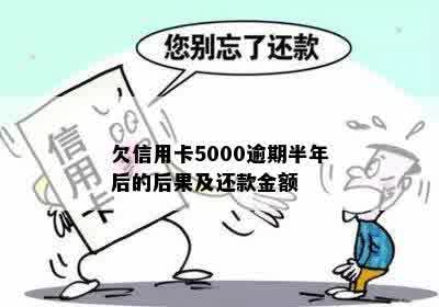 信用卡还款每天只能还5000