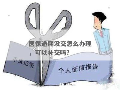 医保卡逾期了可以补交吗，怎么操作？