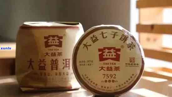 大益普洱茶标号对比：如何选择合适的普洱茶？