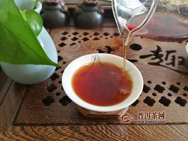 泡普洱茶的比例：多少茶叶合适？