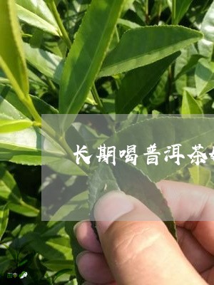 长高喝普洱茶的好处是什么