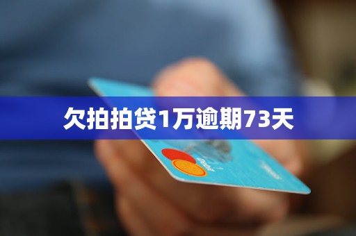 逾期一个月后果全面解析：逾期费用、信用记录影响及如何补救