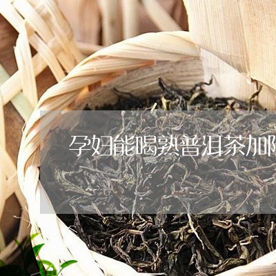 怀孕可以喝茶吗普洱茶熟茶