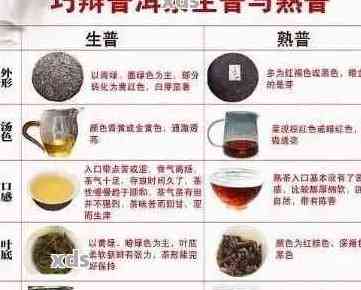 普洱茶不同茶区茶叶的差别：特点与对比