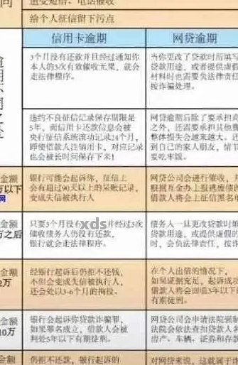 网贷跟信用卡逾期多久起诉：、影响与解决策略全解析