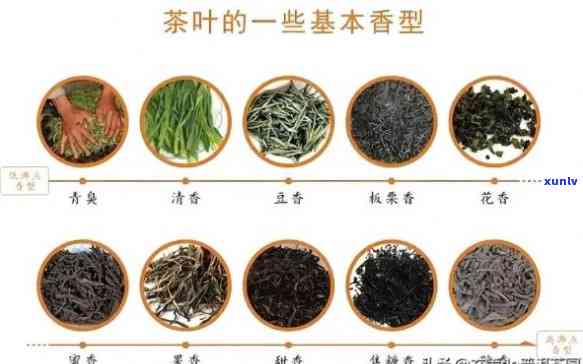 江省茶叶排名榜：权威指南助您挑选优质茶叶