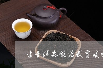 普洱茶治疗感冒咳嗽的科学依据与实际效果探讨