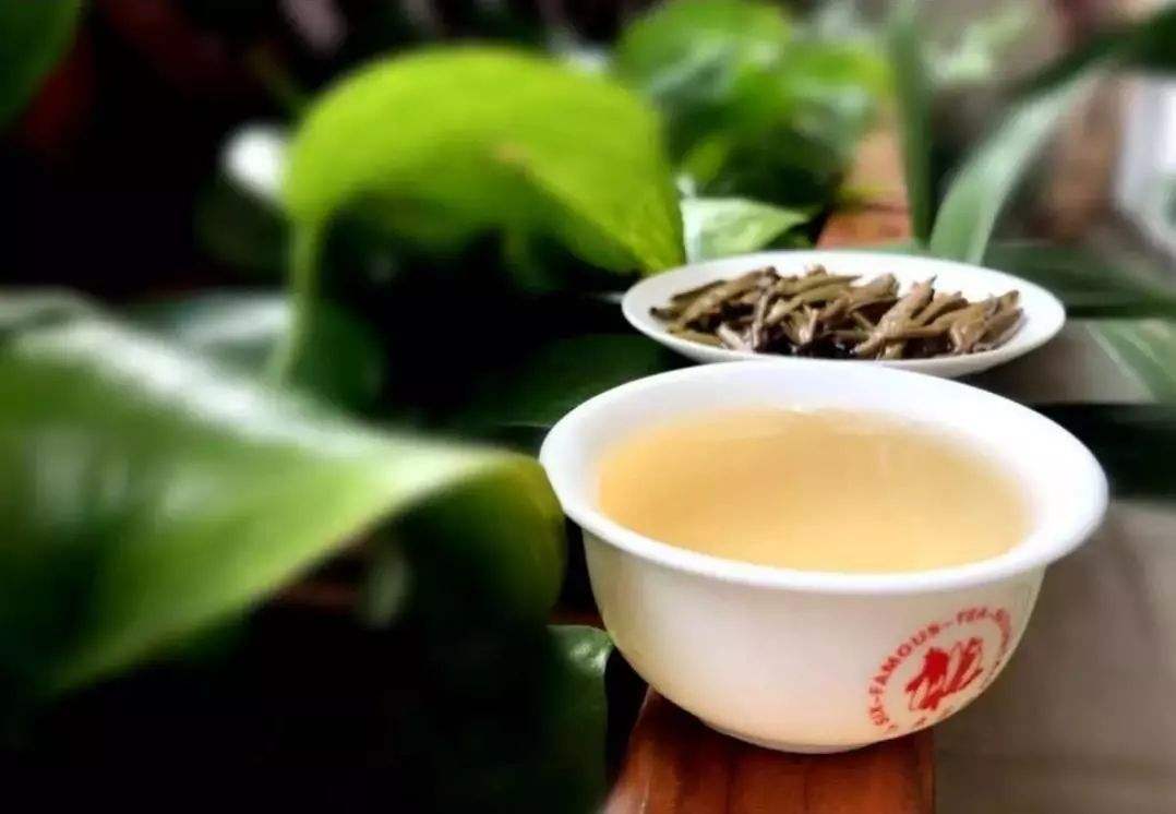 云南十大普洱茶大全：了解并挑选最适合你的茶叶