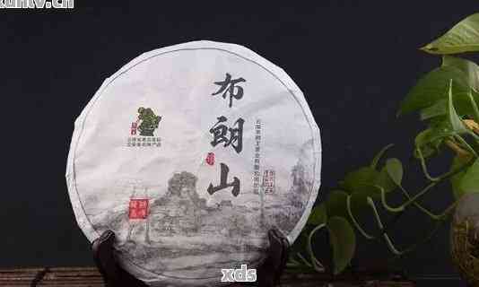 布郎普洱茶特点及价格，200克布朗普洱茶熟茶评价如何？