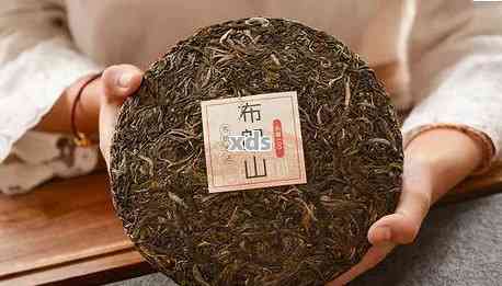 布郎普洱茶特点及价格，200克布朗普洱茶熟茶评价如何？