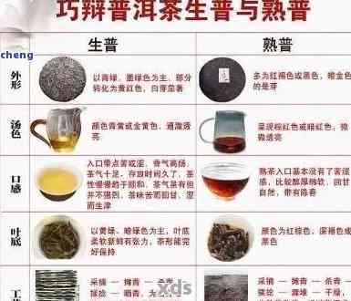 普洱茶品种全面解析：了解大家泡的各类普洱茶的特点与品质