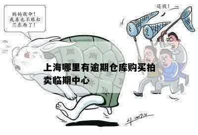 上海逾期仓库拍卖：案件、与购买全解析