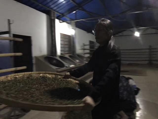 新普洱茶炒茶口味的多样性：从经典到创新的各种品种及其特点分析