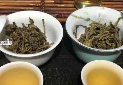 普洱茶泡茶的适宜度及低下的表现：怕高还是不怕低？为什么？