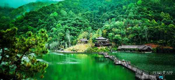 普洱茶茶马古道多少钱一盘：传说与攻略尽在风景区