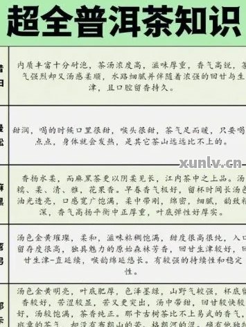 普洱茶与豆蔻搭配的功效、作用与禁忌：一文解答用户所有疑问