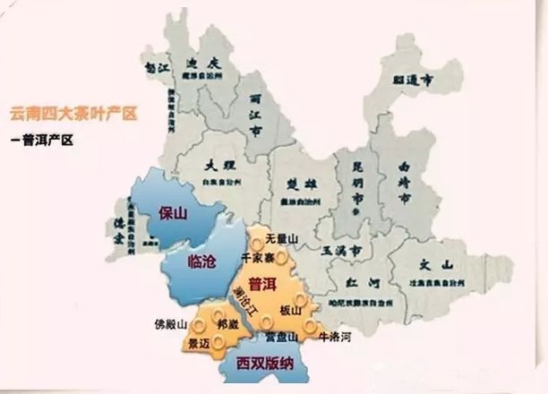 临沧巴古普洱茶的生产基地及其特点：探索云南茶叶产业的核心地带