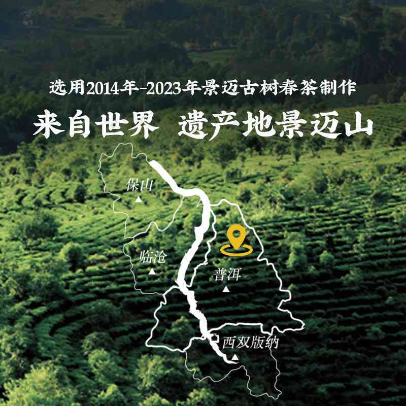 临沧巴古普洱茶：生产基地、品质特点、购买途径一应俱全的全面指南