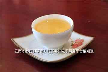 州普洱茶专卖店：寻找品质上乘的茶叶店铺