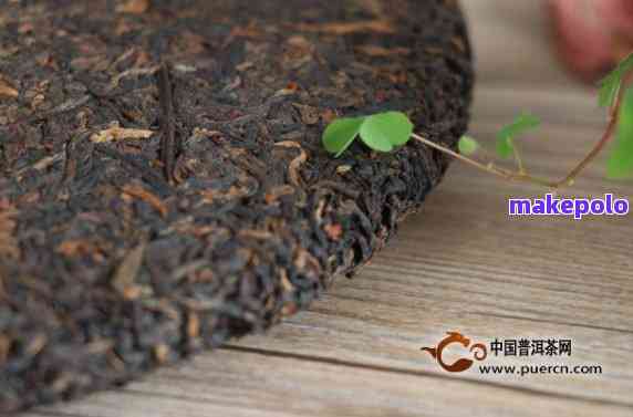 真正的现代普洱茶是什么茶