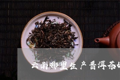 云南普洱茶叶专业生产与销售的领先企业：天成茗贵茶叶