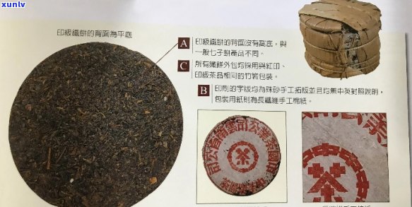 深入解析：普洱茶印和红印的独特品质与鉴别方法