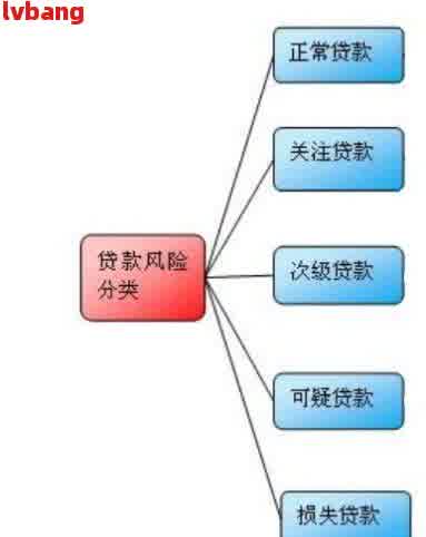 逾期贷款的风险分类：包括借款逾期风险和贷款逾期分类